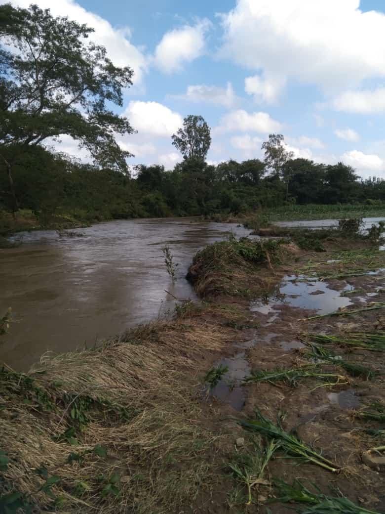 9579 hectares of crop demolished in Dharwad due to heavy rain