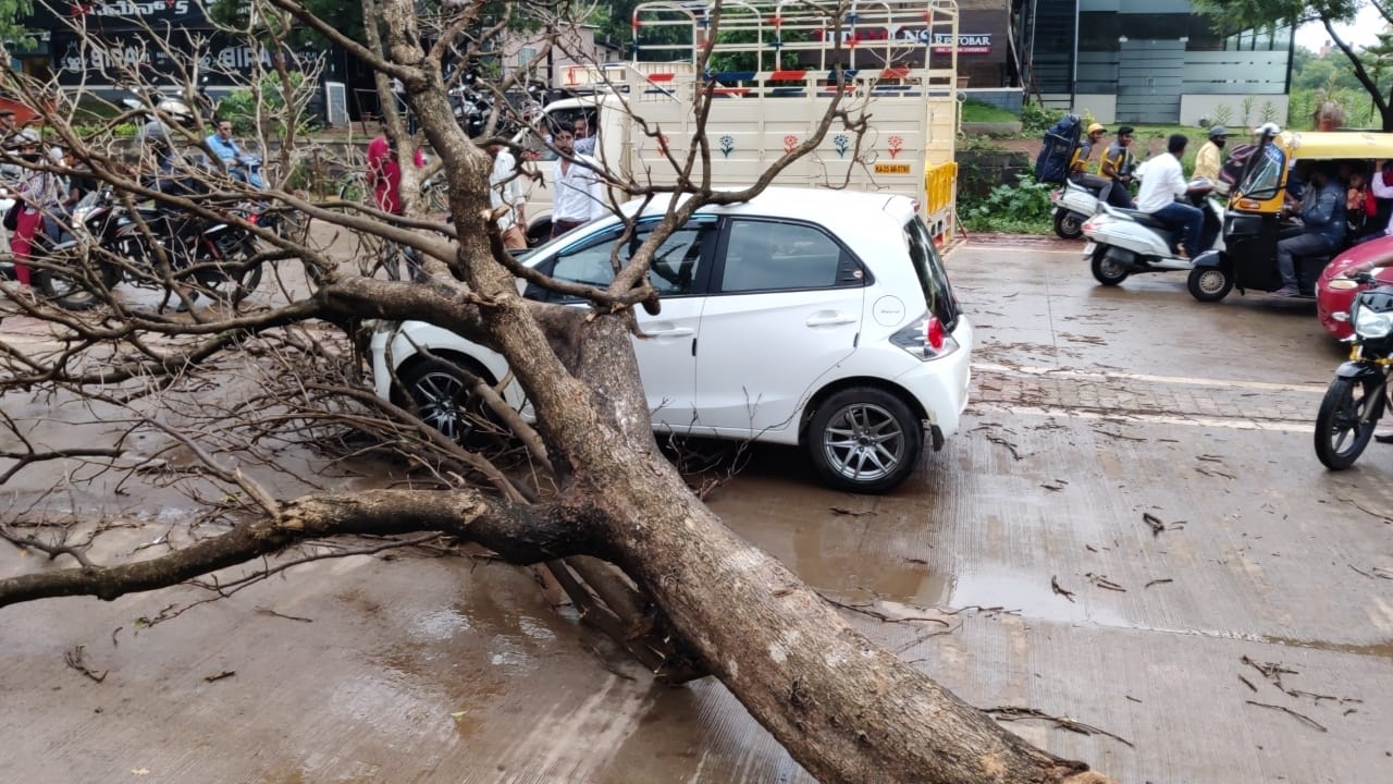 ಕಾರಿನ ಮೇಲೆ ಬಿದ್ದ ಮರ