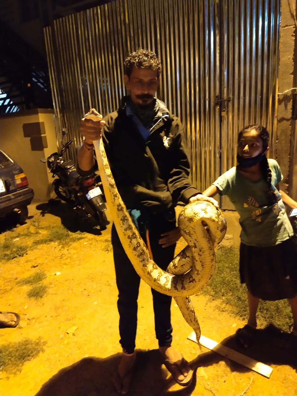 Huge python protection in hassan arsikere