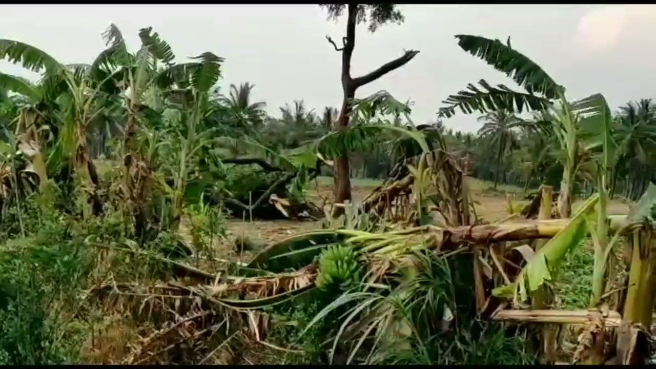 ಇಳೆಯನ್ನು ತಂಪೆರೆದ ವರುಣ