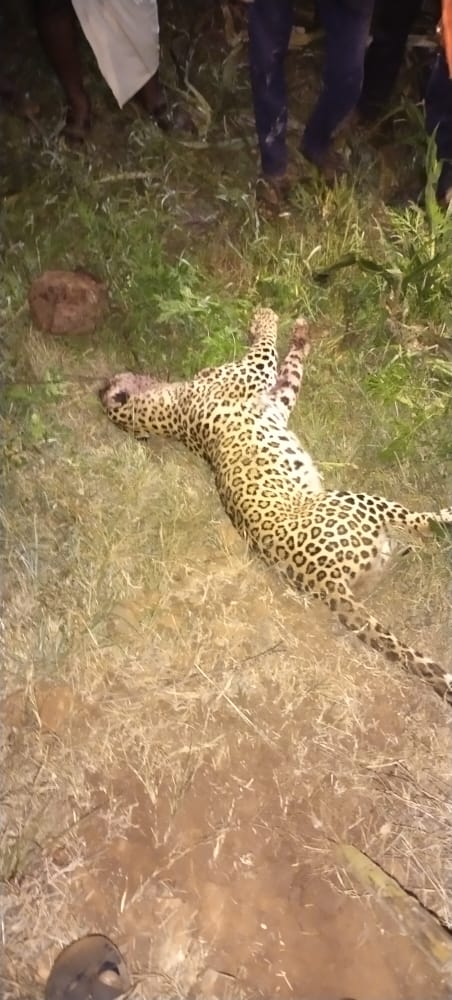 Farmer killed Leopard to escape from attack