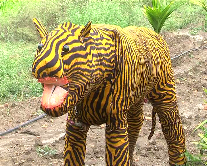 Farmer using a tiger doll to scare the monkeys to protect his crops in Karnataka