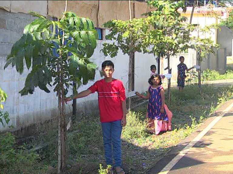 childrens-involved-in-protection-of-plants-in-haveri