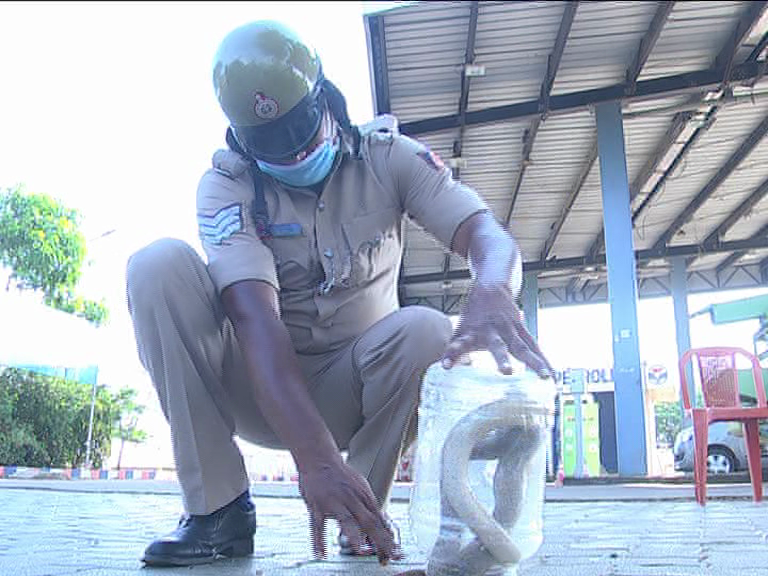 Haveri Police constable protect the snakes