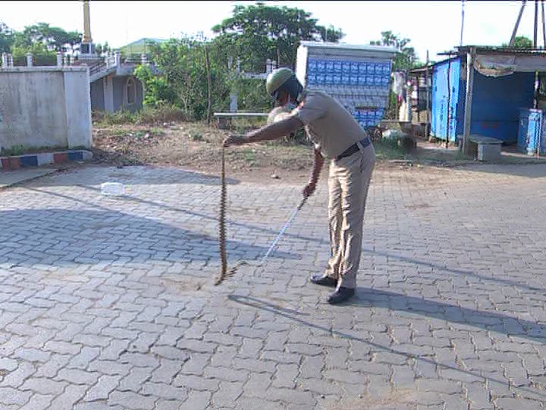 Haveri Police constable protect the snakes