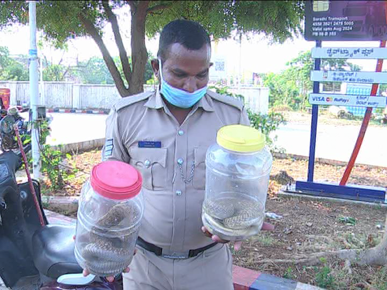 Haveri Police constable protect the snakes