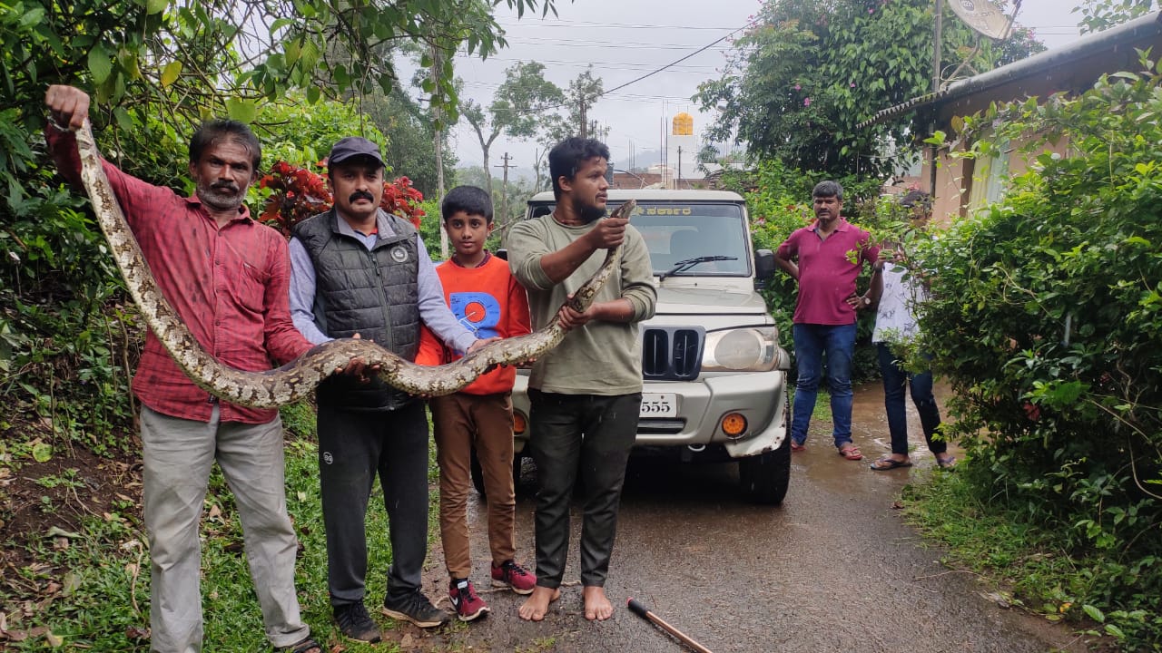 A big python found in estate