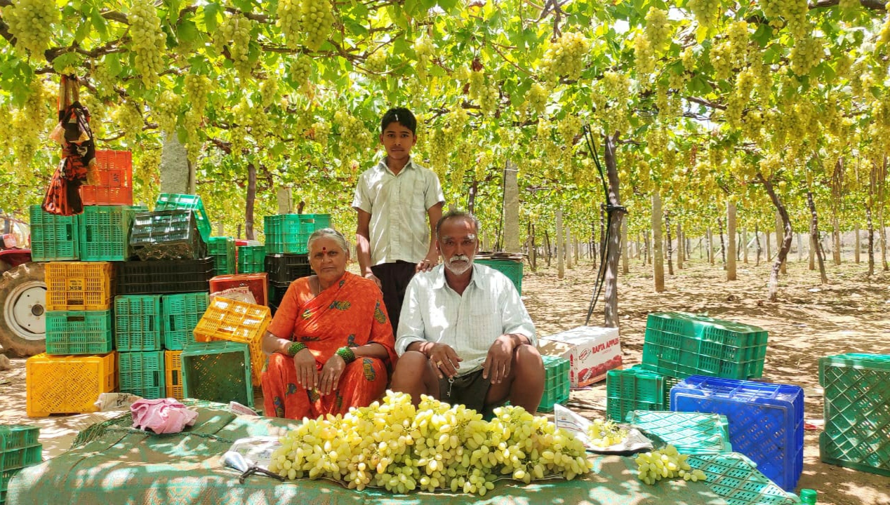 Grape farmers facing market problem at Kolar