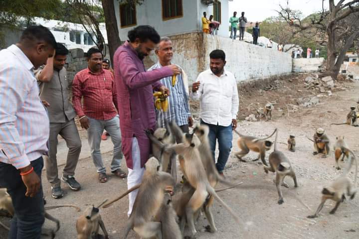 Minister sriramulu Time Spends With monkeys