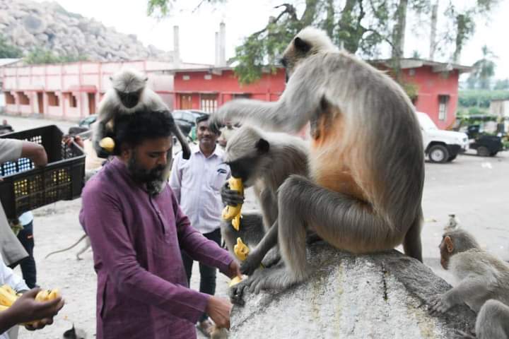 Minister sriramulu Time Spends With monkeys