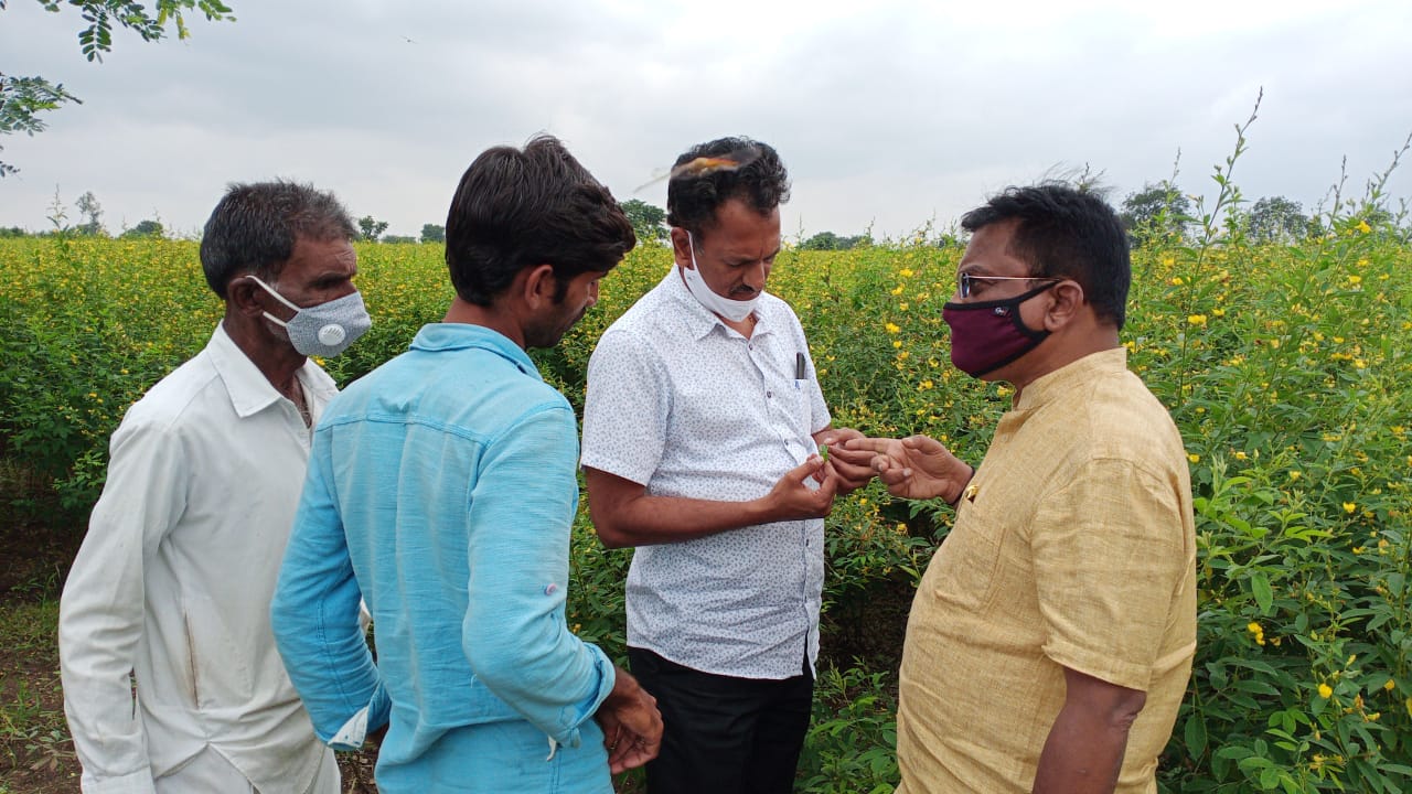 disease for bark crop in koppal