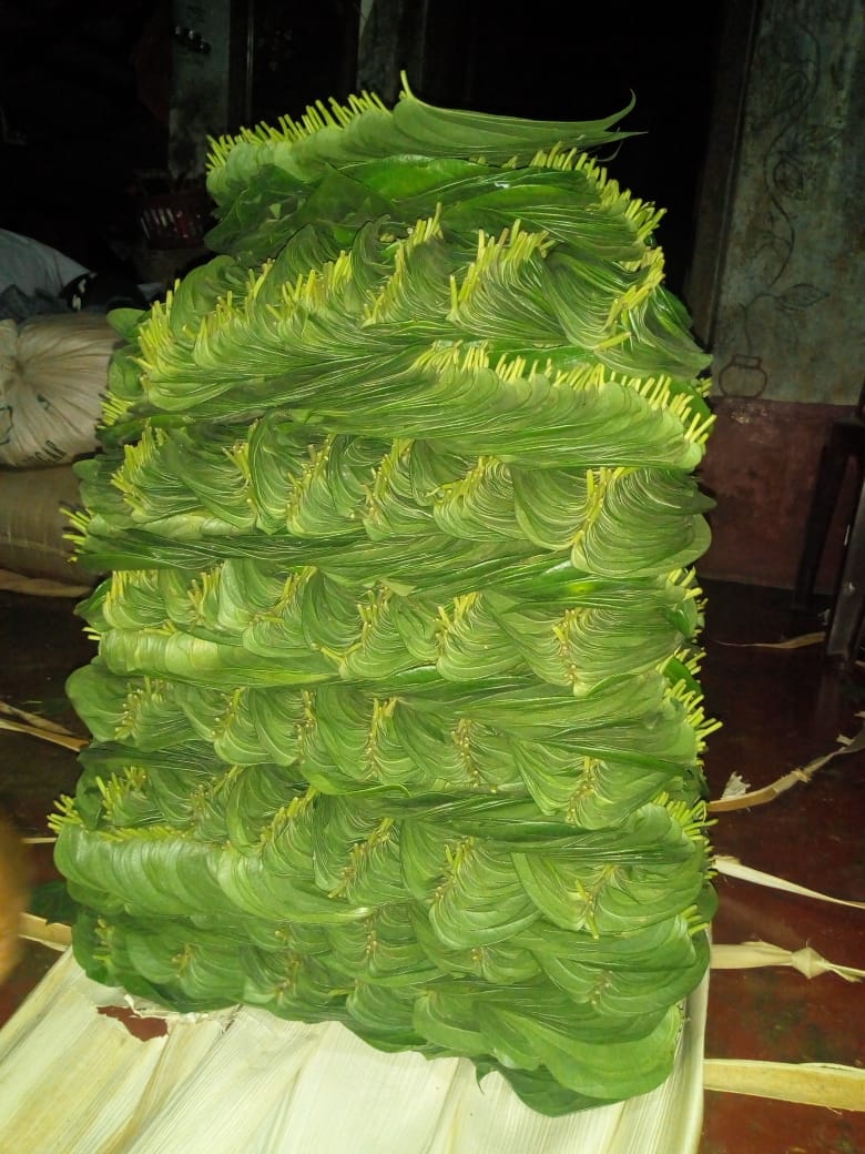 betel leaf farmers facing problem due to lockdown