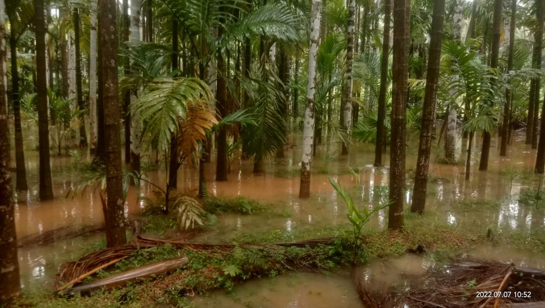 ಜಮೀನುಗಳಿಗೆ ನೀರು ನುಗ್ಗಿ ಅನಾಹುತವಾಗಿರುವುದು