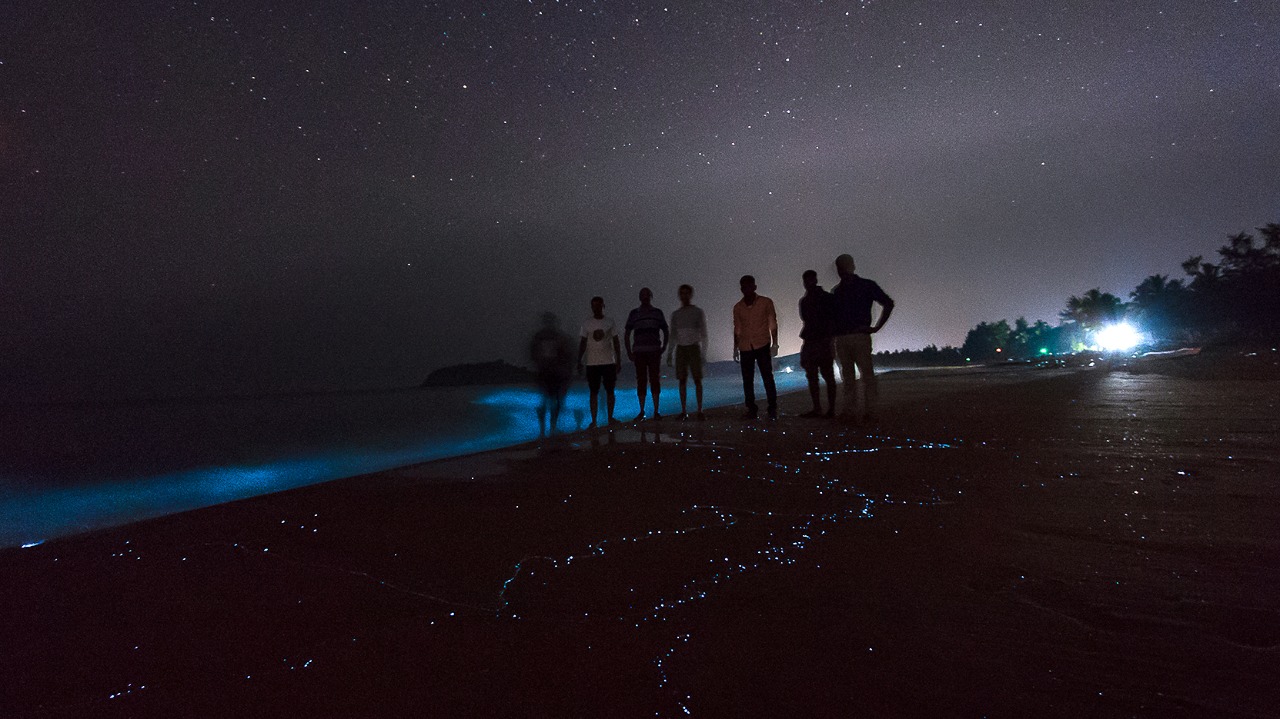 Radiant blue colour shimmered on the waves gently crashing down on the Karwar shore