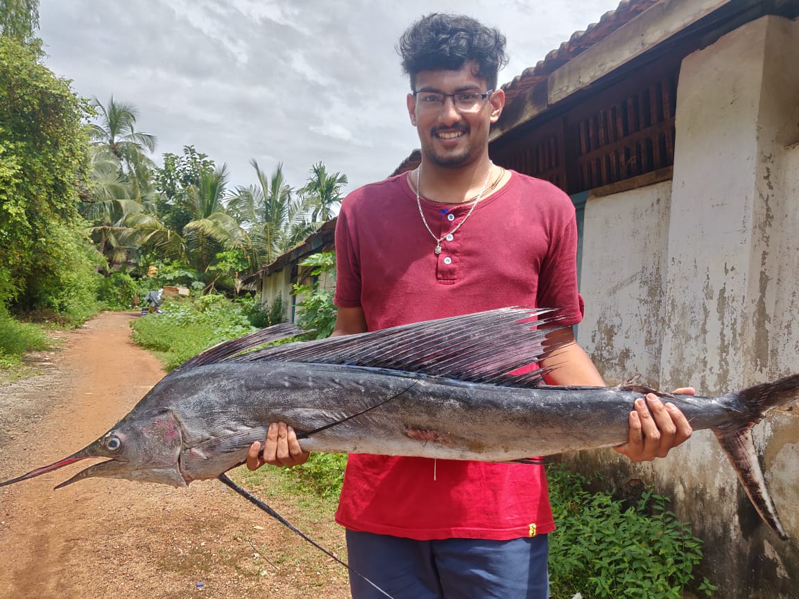 a unique fish found in  ankola