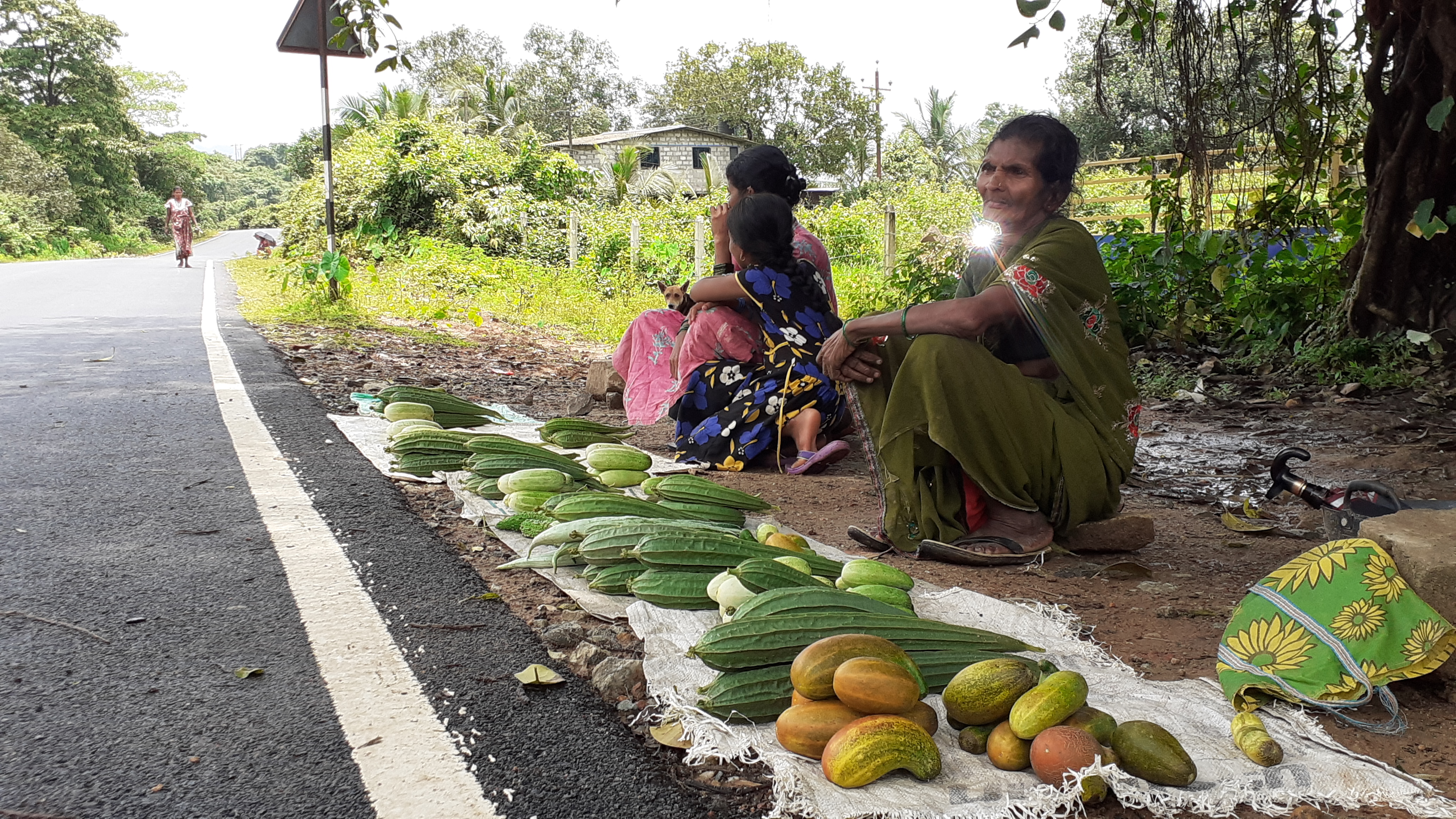 ರಸ್ತೆ ಬದಿಯಲ್ಲಿ ತರಕಾರಿ ವ್ಯಾಪಾರಕ್ಕೆ ಕುಳಿತ ರೈತರು