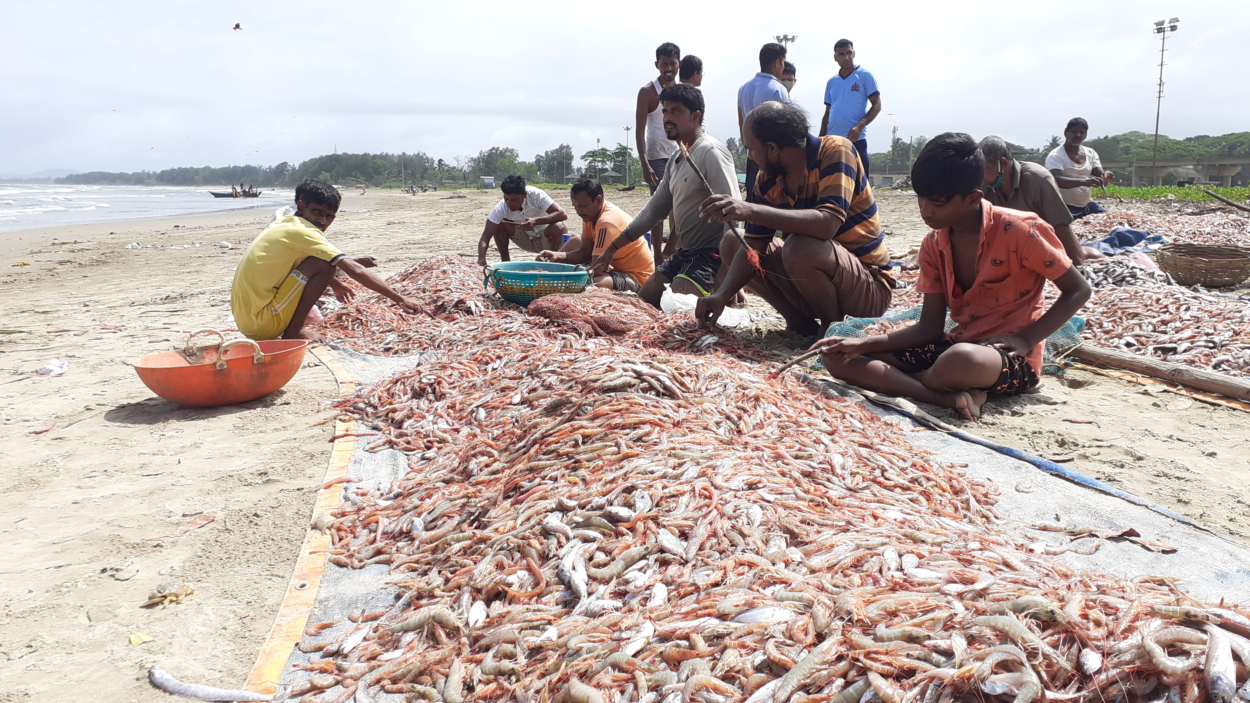 Karwar Fishermen are deprived of right price for fish