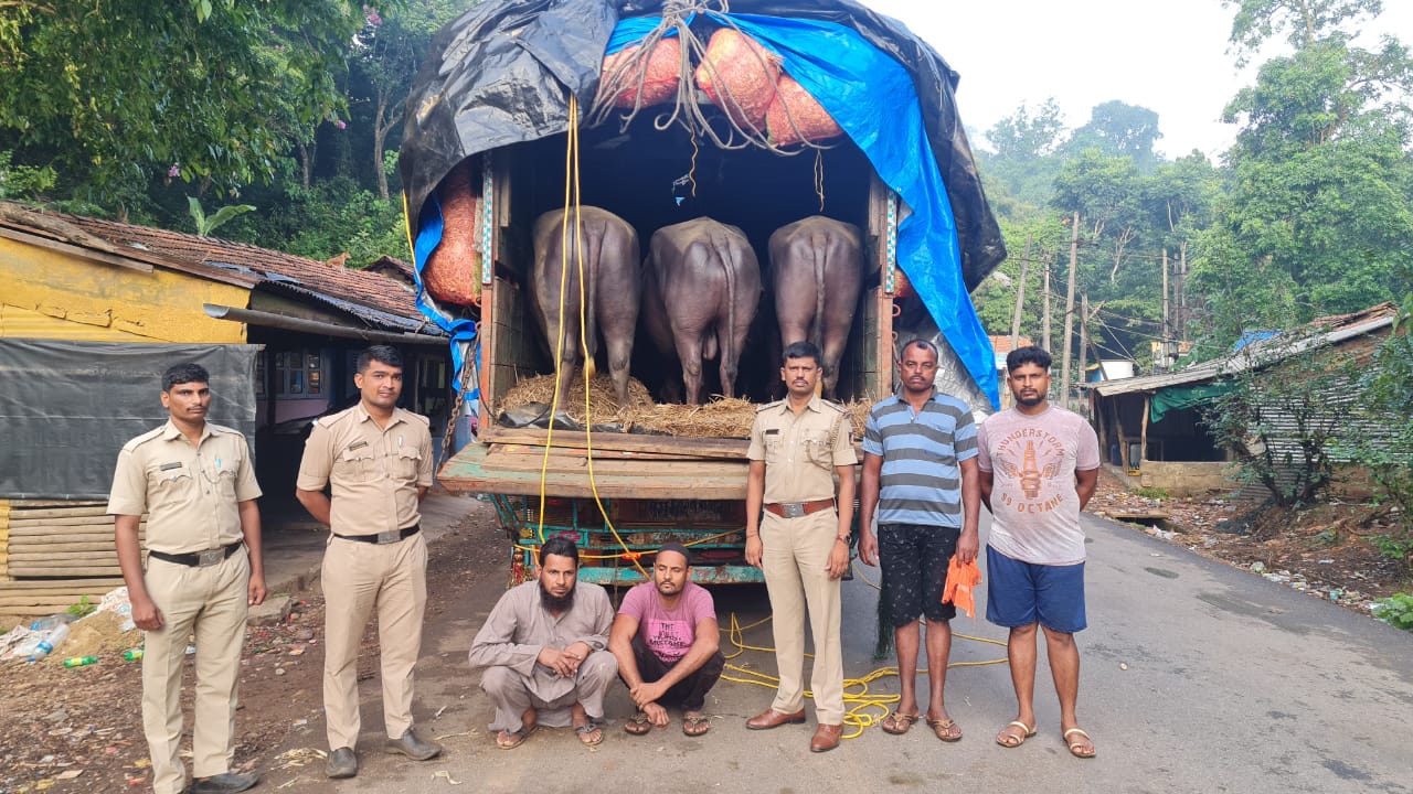 two-arrested-in-cattle-transport-at-honnavara