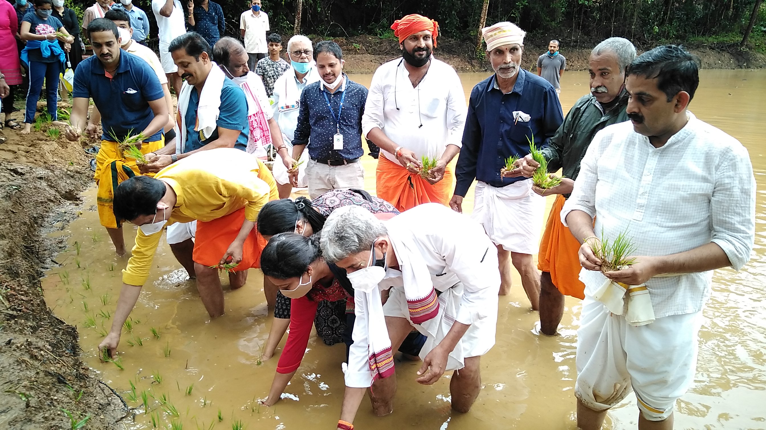 nalin-kumar-kateel-inspired-traditional-farming-in-mangalore