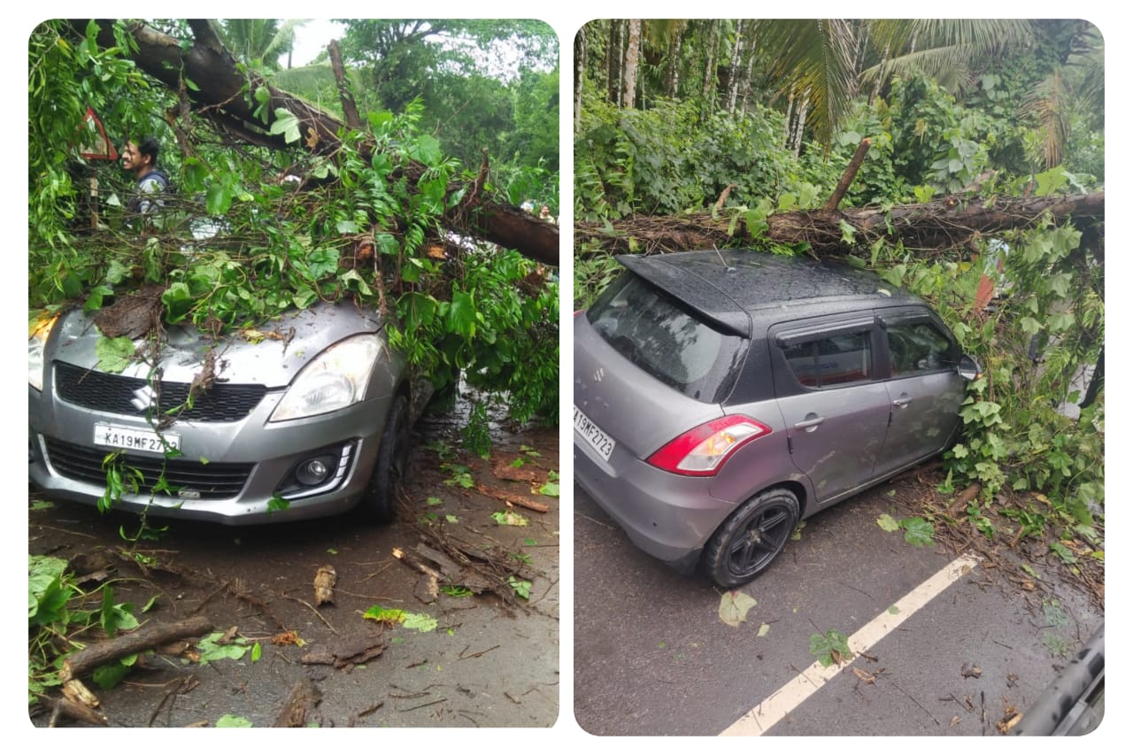 tree fell on moving car in putturu