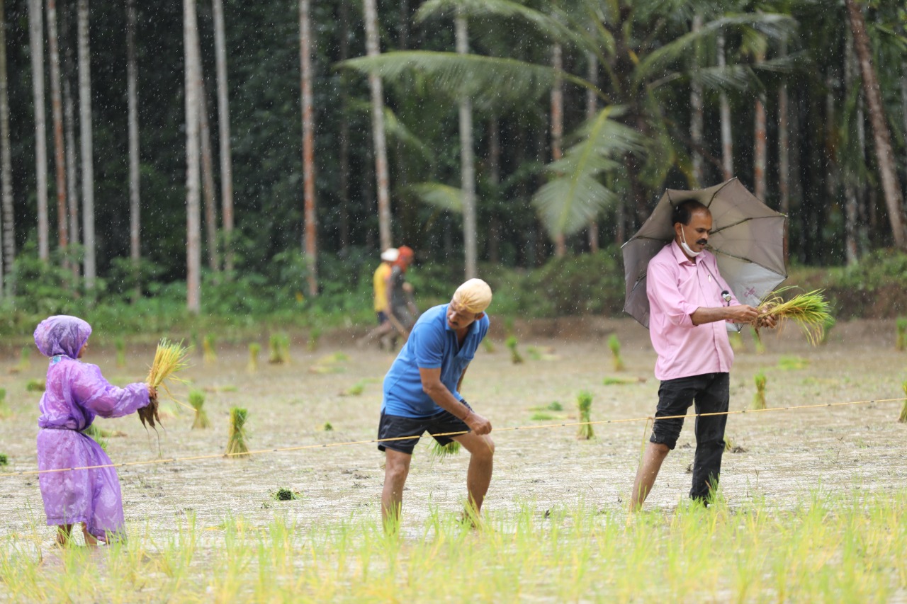 muslim-family-gives-filed-for-crops-of-temple