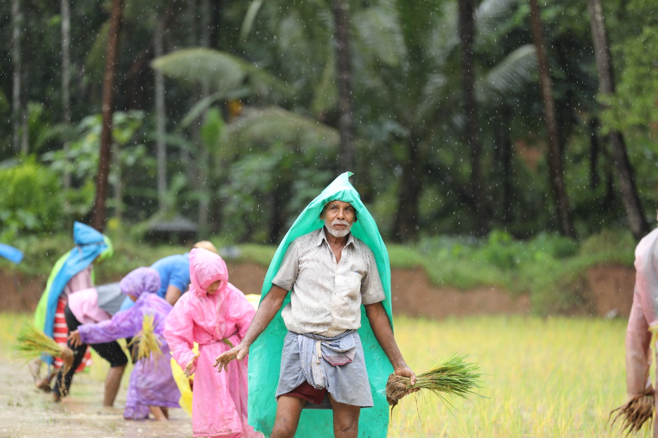 muslim-family-gives-filed-for-crops-of-temple