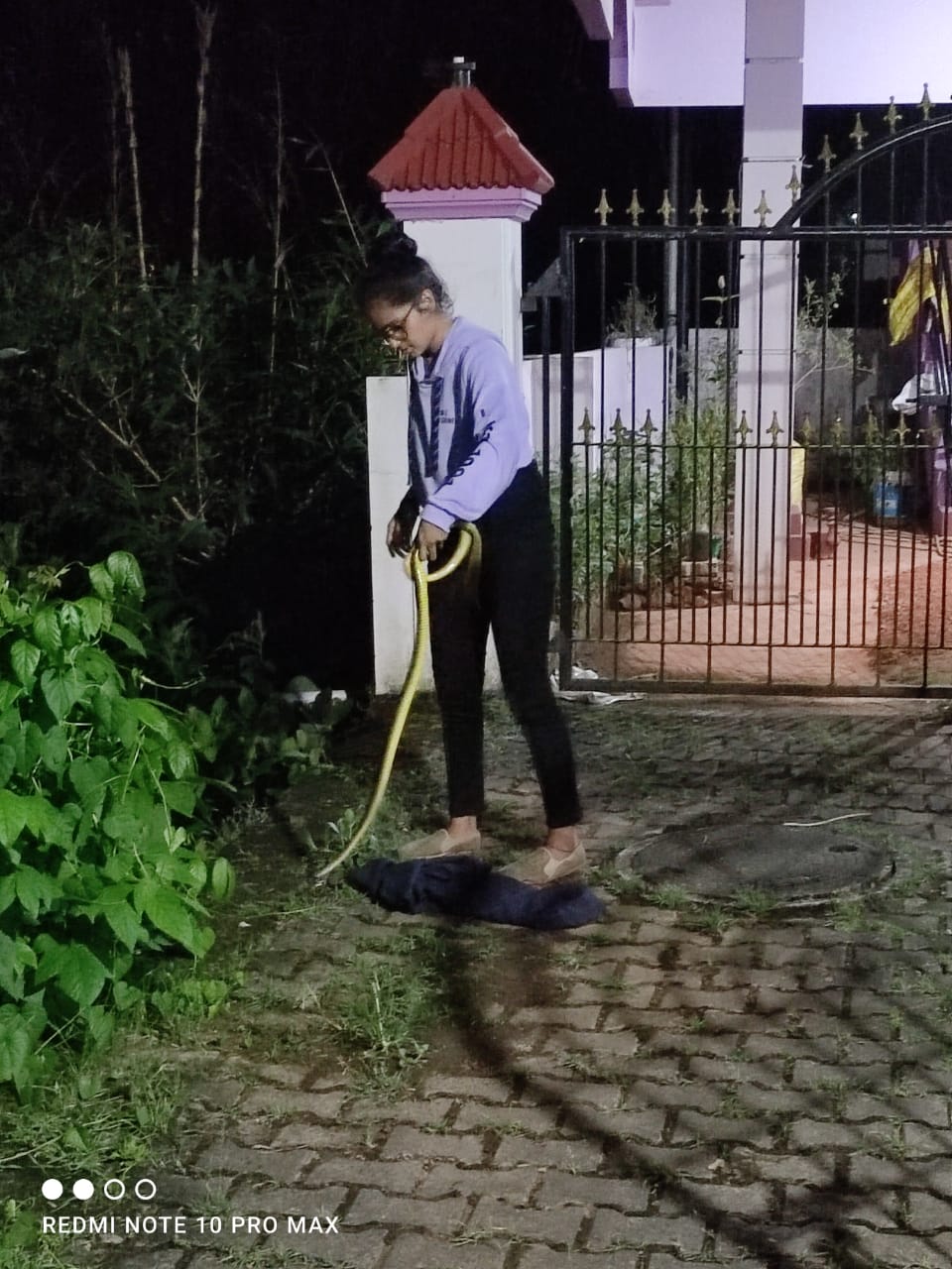 Karnataka Girl catching snakes