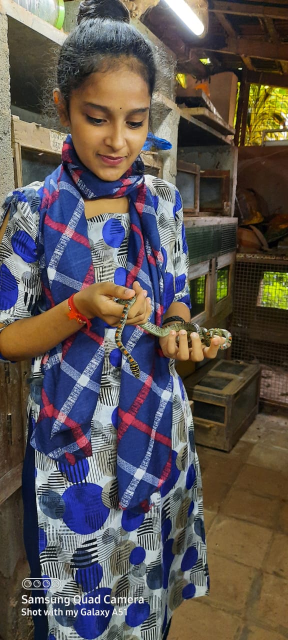 Karnataka Girl catching snakes