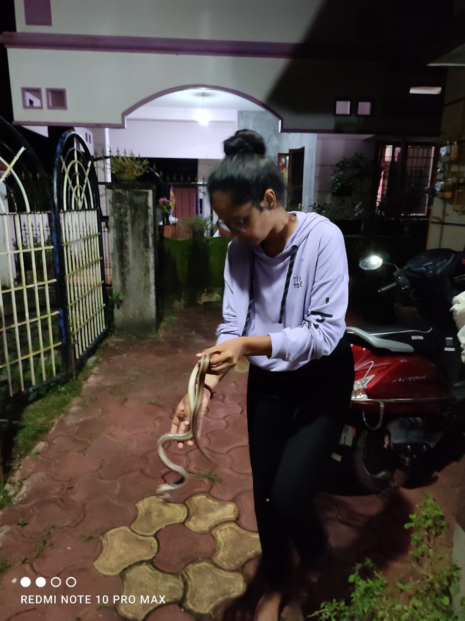 Karnataka Girl catching snakes