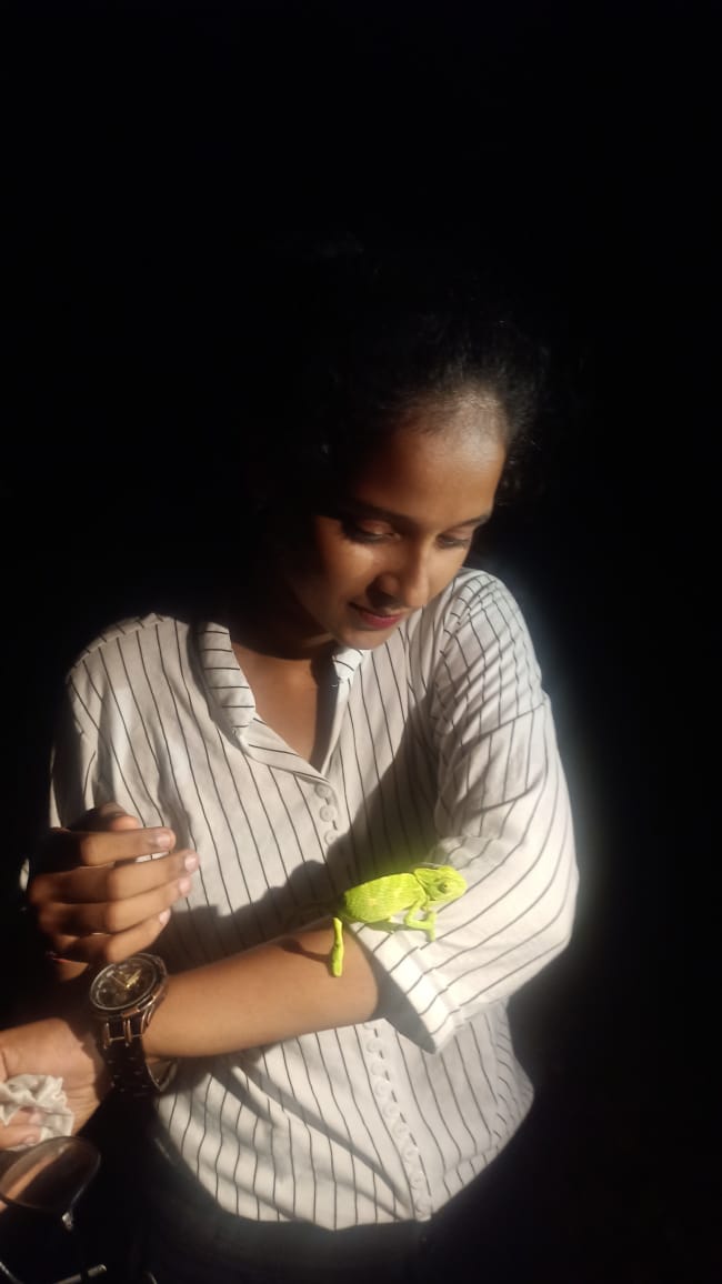 Karnataka Girl catching snakes