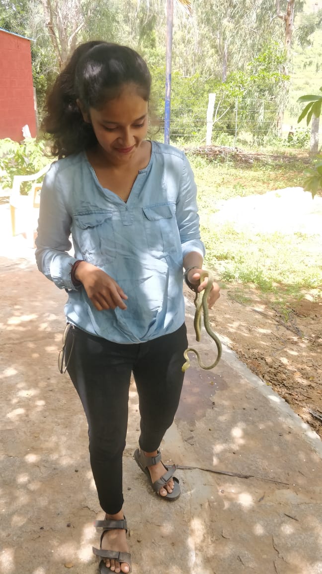 Karnataka Girl catching snakes