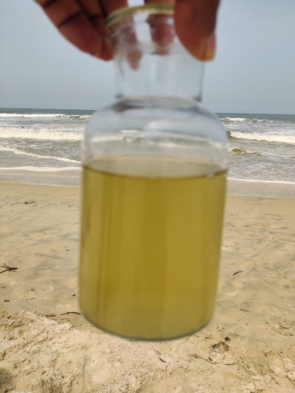 surathkal-beach-oil-spill-sample-sent-for-testing