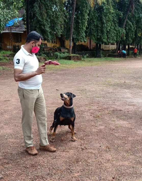 ಪೊಲೀಸ್ ಶ್ವಾನ ಸುಧಾ