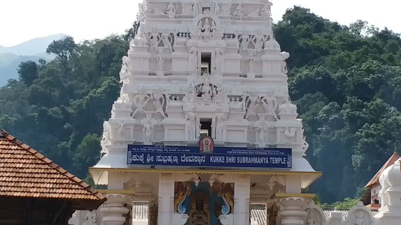 devotees worship cancel in kukke subramanya and dharmasthala