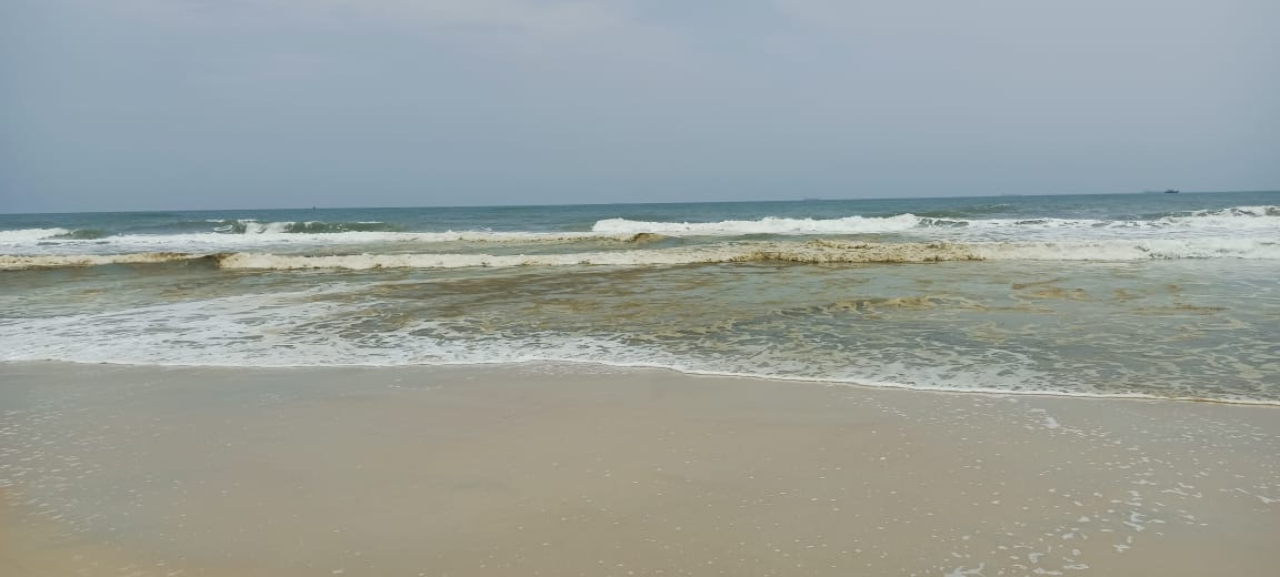 oil-spill-found-in-suratkal-beach