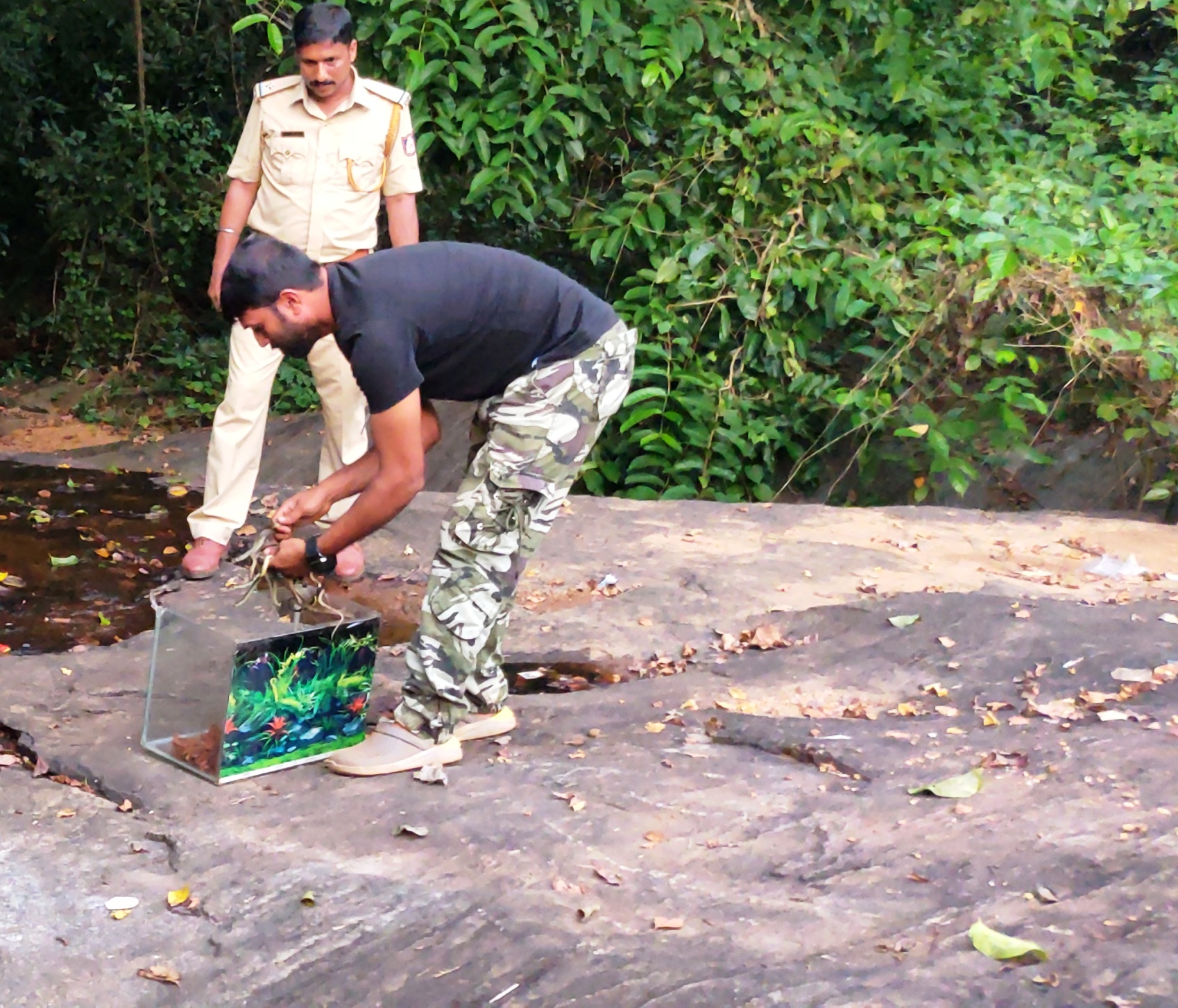 Snake Kiran protects 22 snake cubs