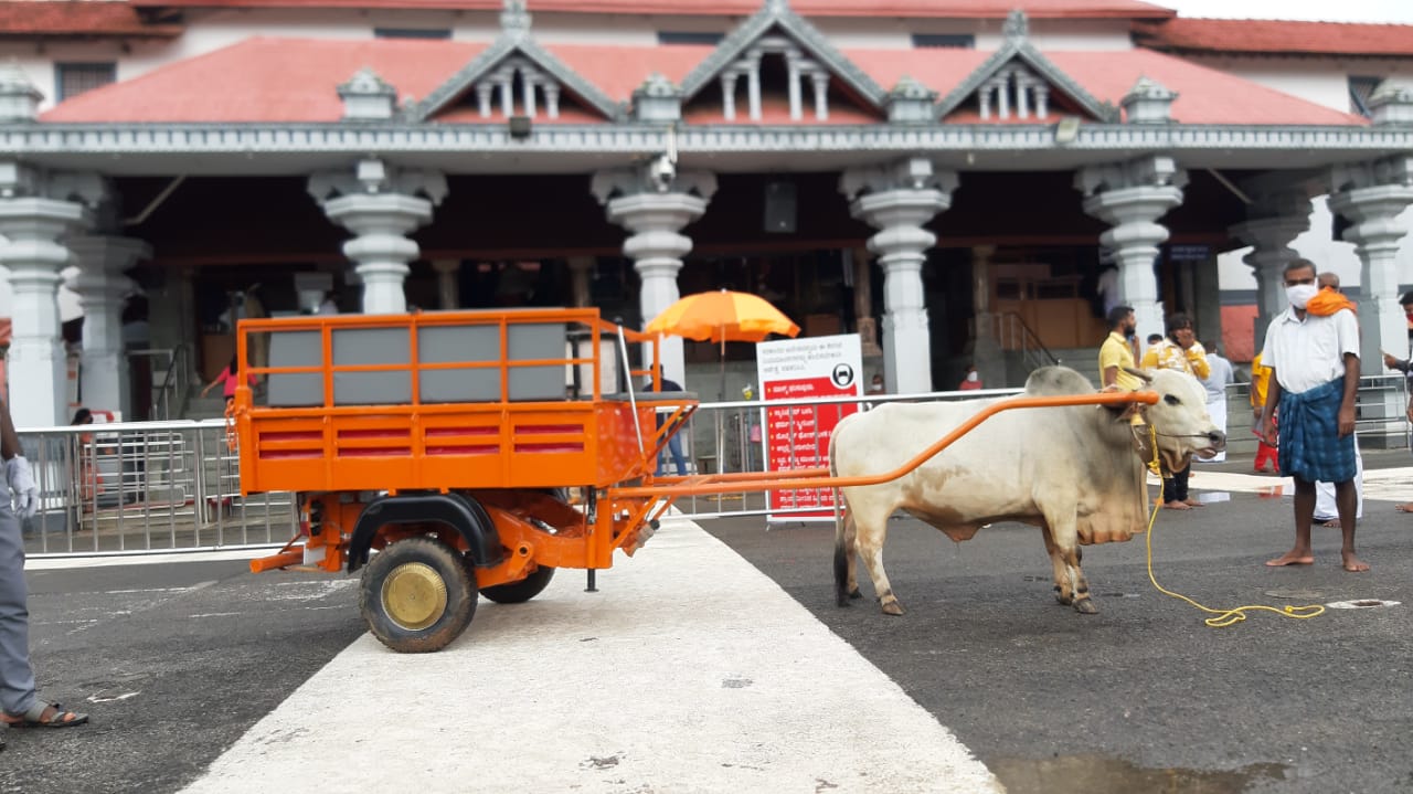 Bull cart rikshaw