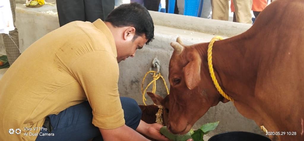 MLA Harish Poonja inaugurates Nanda Gokula Goshalaya