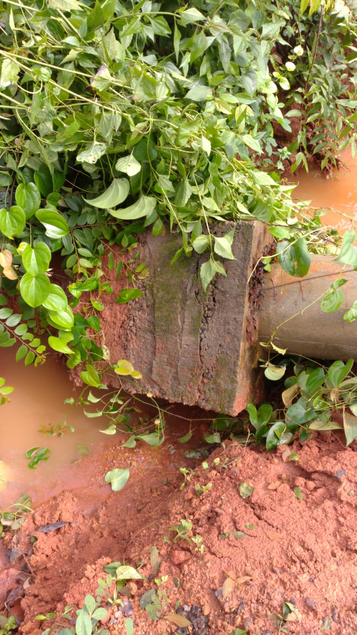 Power pole fallen on the vehicle