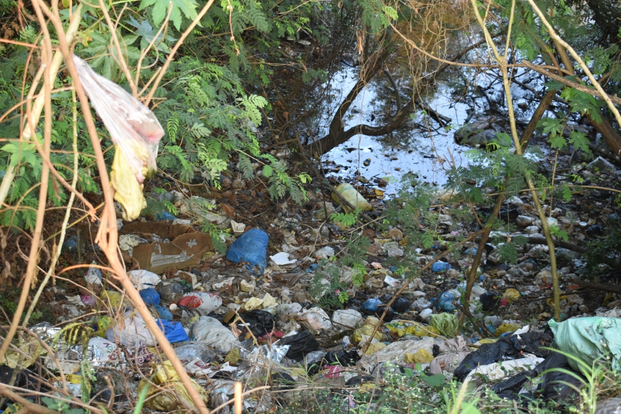 Jatha against the garbage dumpers at Netravati Bridge