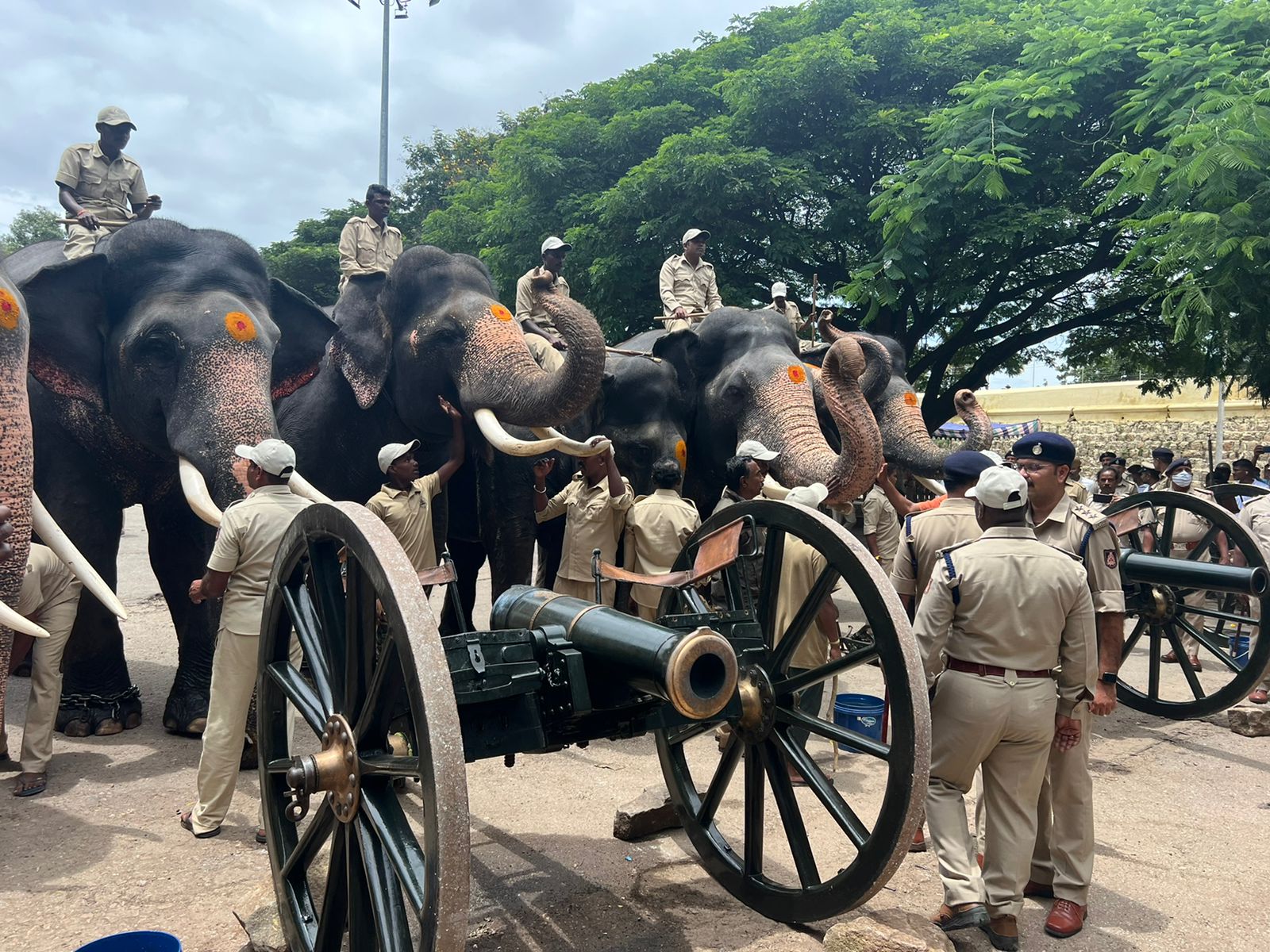 मैसुरु का दशहरा उत्सव