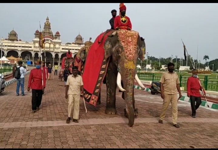 Jumbo Savari