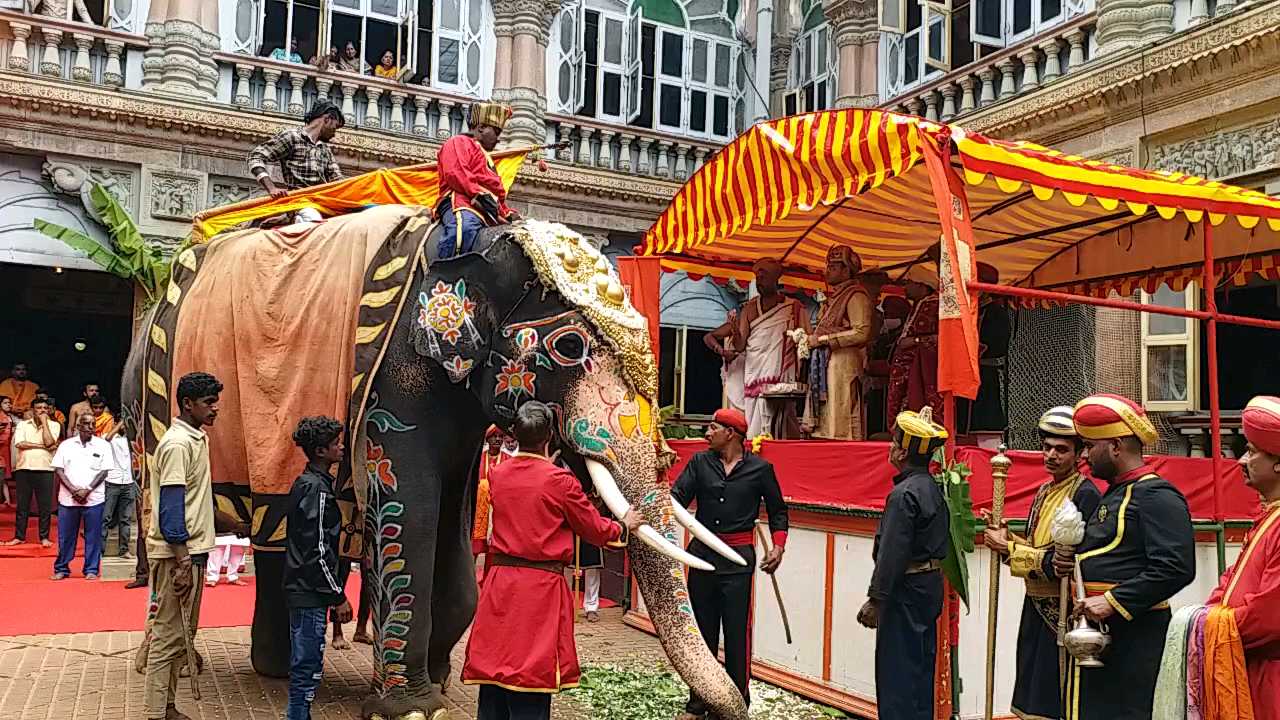 ಪಟ್ಟದ ಆನೆಗೆ ಪೂಜೆ