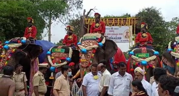 dasara jamboo elephants weight