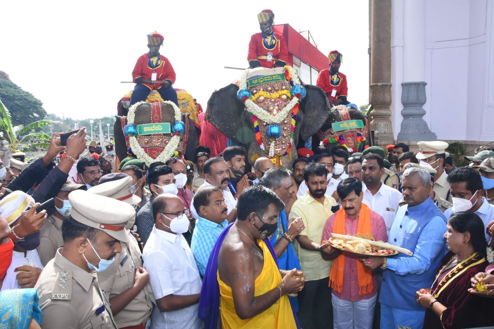 details about dasara elephants weight