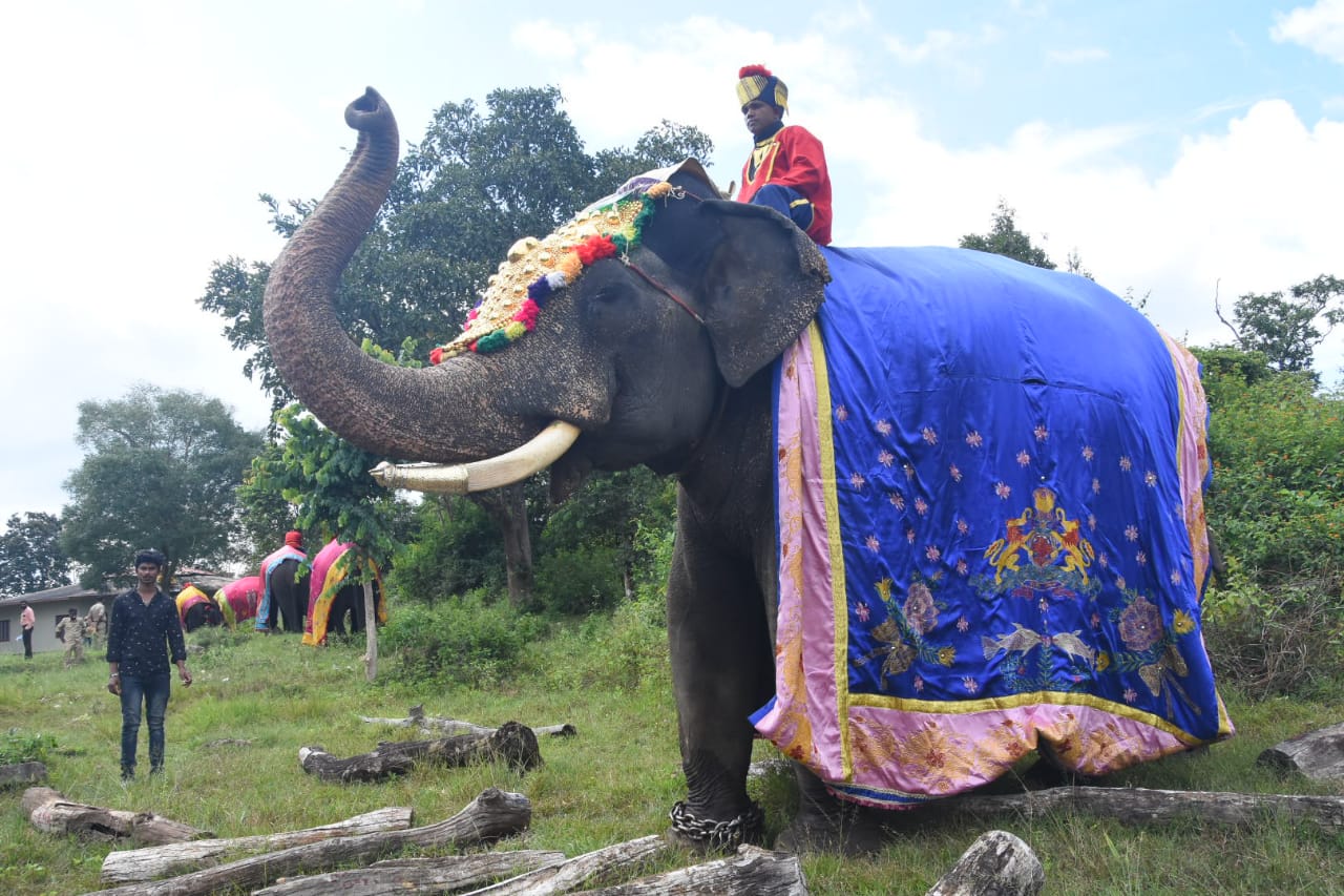 ಮೈಸೂರಿನತ್ತಾ ಹೊರಟ ಗಜಪಡೆ