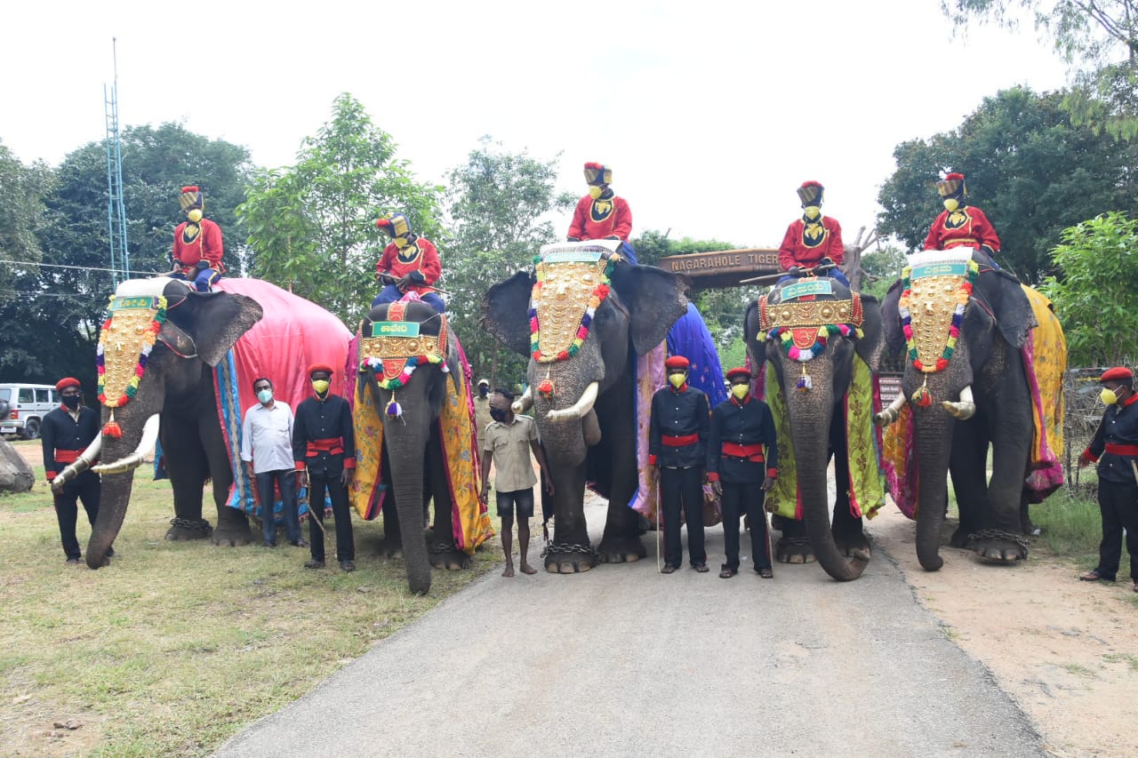 ಮೈಸೂರಿನತ್ತಾ ಹೊರಟ ಗಜಪಡೆ