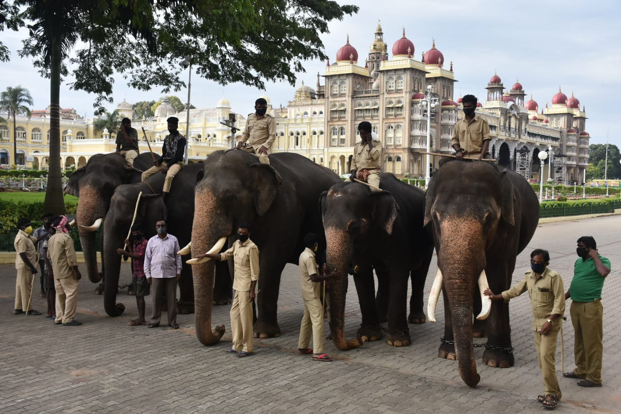 mysore dasara