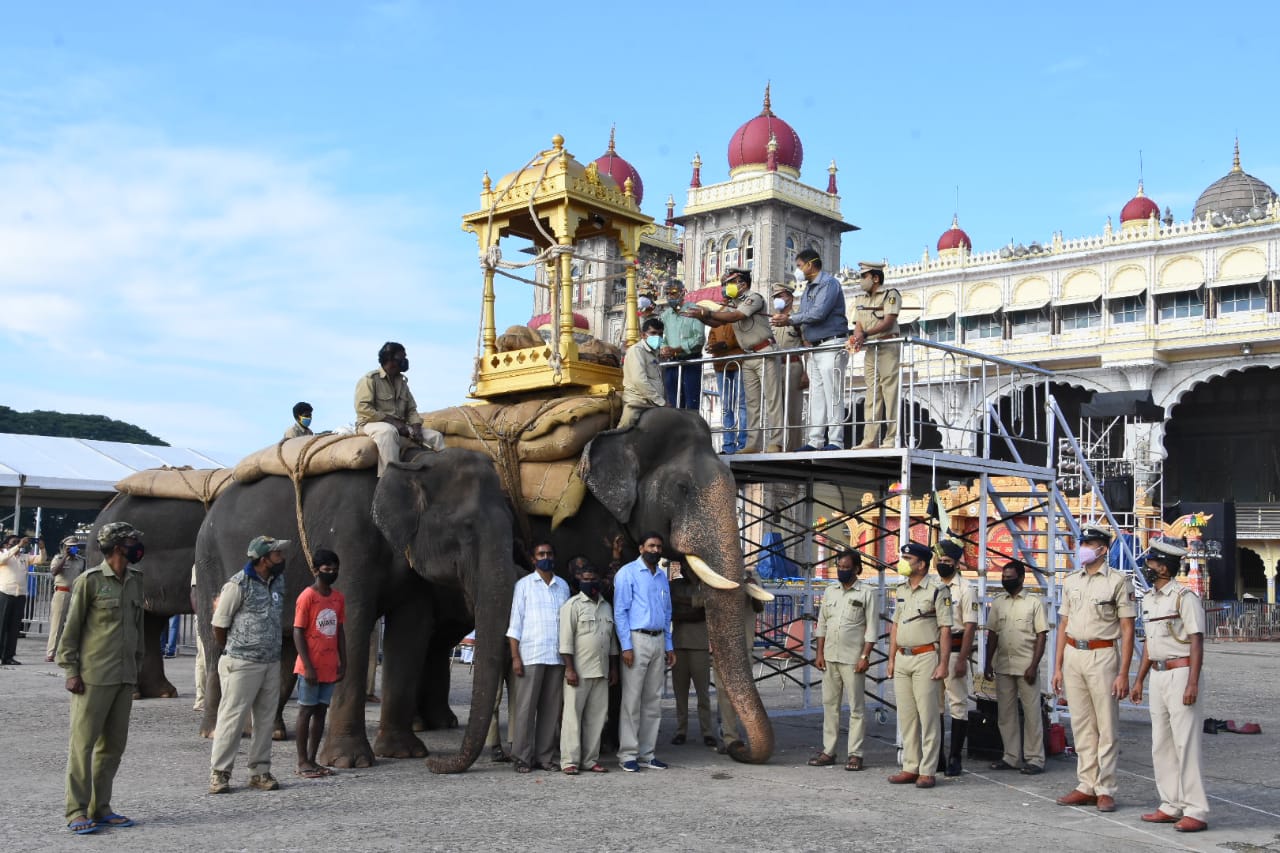 mysuru jamboo Savari parade