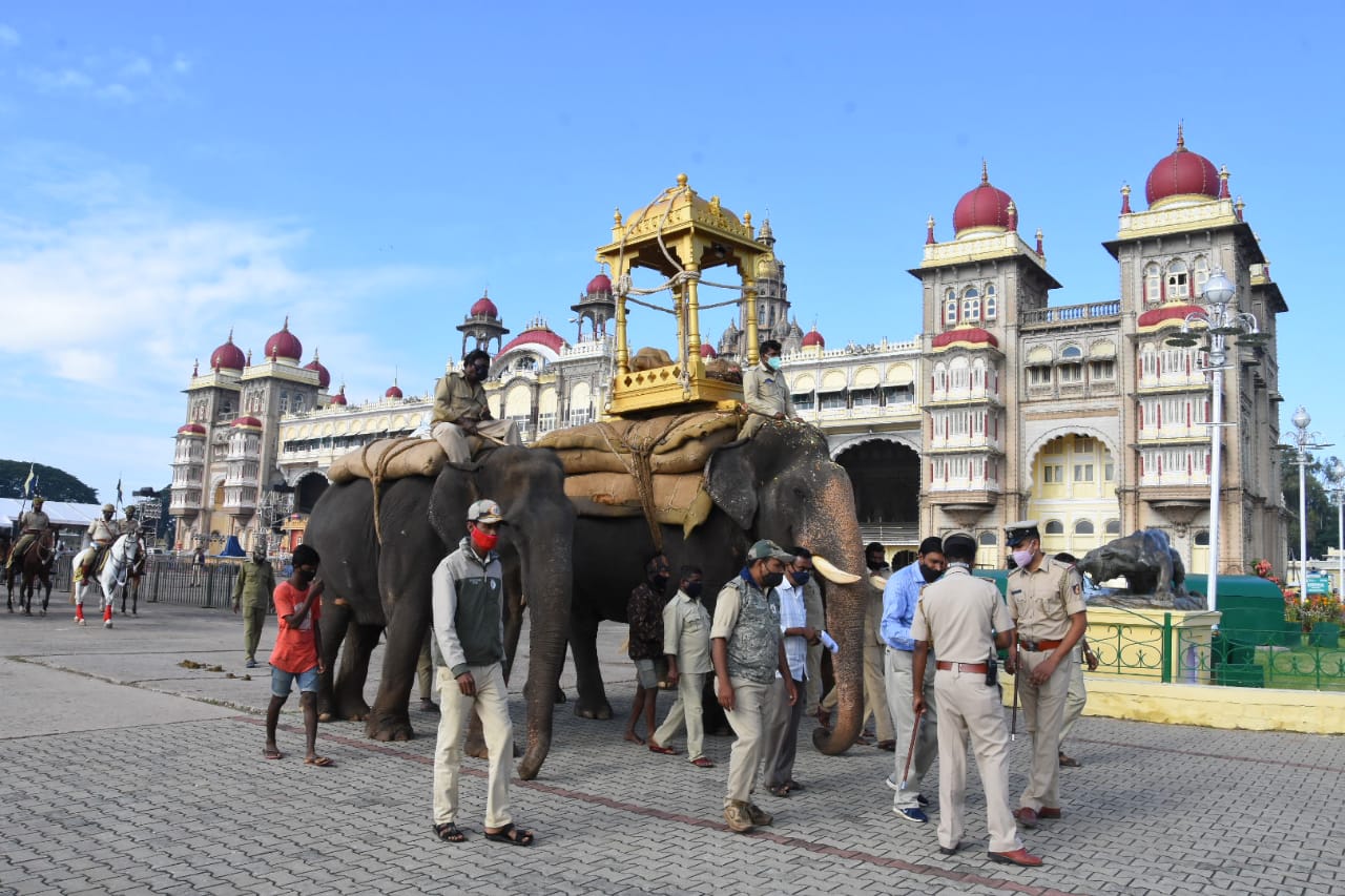 mysuru jamboo Savari parade